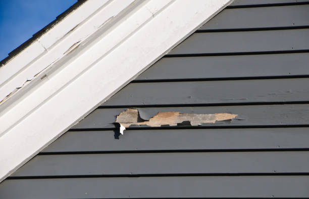 Best Siding for New Construction  in Mount Clemens, MI