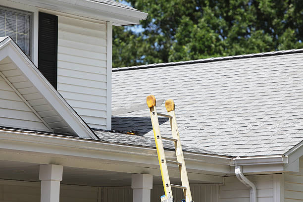 Best Storm Damage Siding Repair  in Mount Clemens, MI