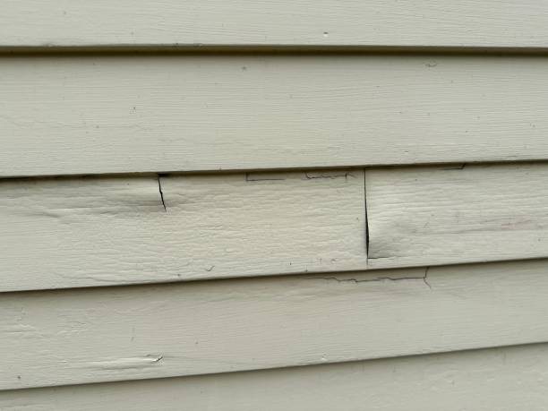 Best Custom Trim and Detailing for Siding  in Mount Clemens, MI