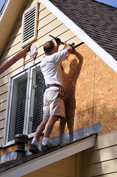 Best Fascia and Soffit Installation  in Mount Clemens, MI