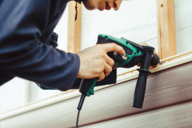 Best Siding Painting and Refinishing  in Mount Clemens, MI